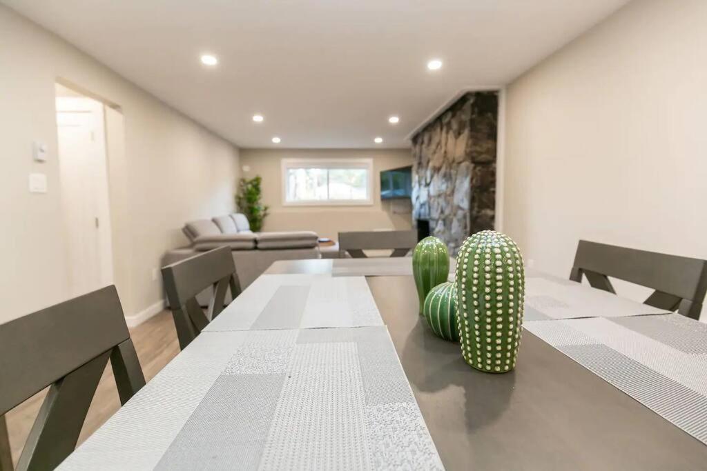 Newly Renovated 2 Bedroom Apt! Appartement Victoria